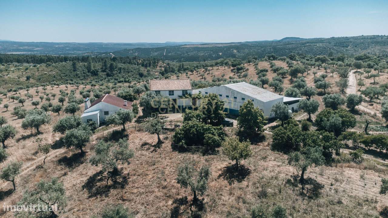 Quinta 54ha, Escalos de Baixo, Castelo Branco - Grande imagem: 2/60