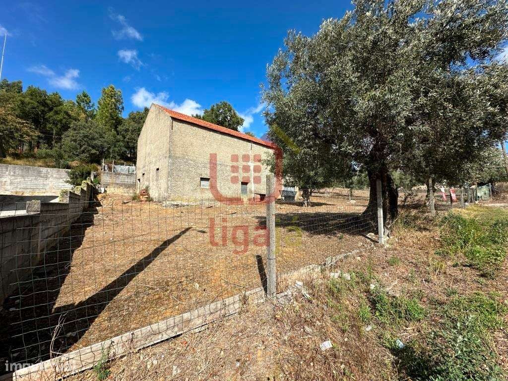 Armazém P/reconstrução - Vilar dos Prazeres! - Grande imagem: 2/11