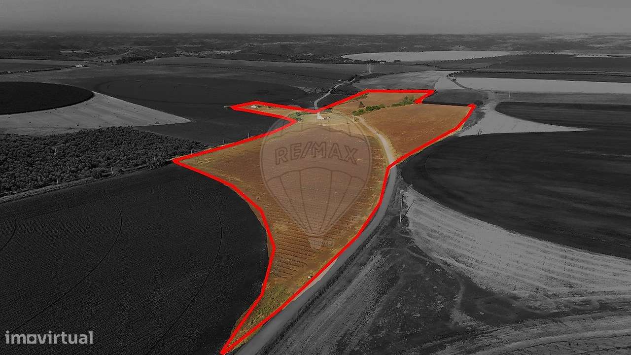 Quinta  para venda - Grande imagem: 2/17