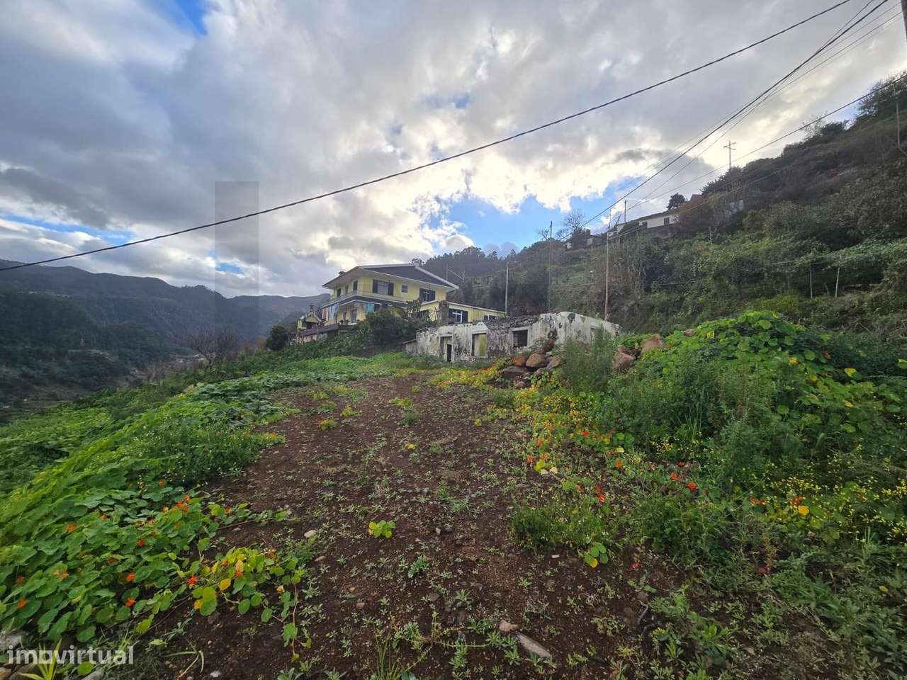 LOTE+ RUINA - Grande imagem: 3/16