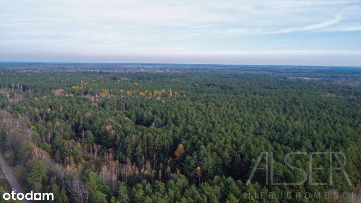 Dom z lat 70 z garażem | 5500 mkw działki-11