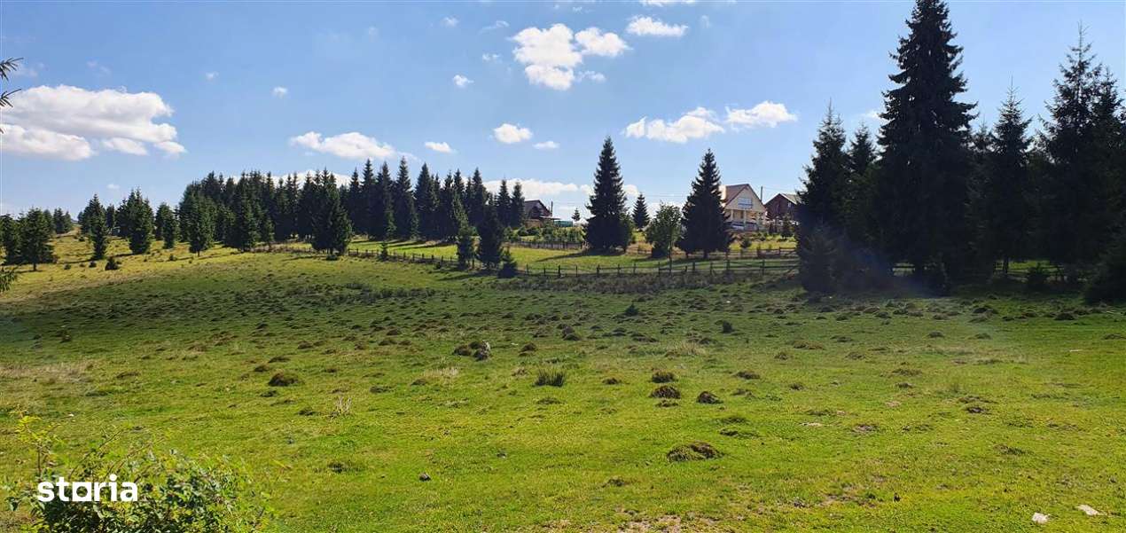Oportunitare | Teren 1ha cu PUZ | Belis-5