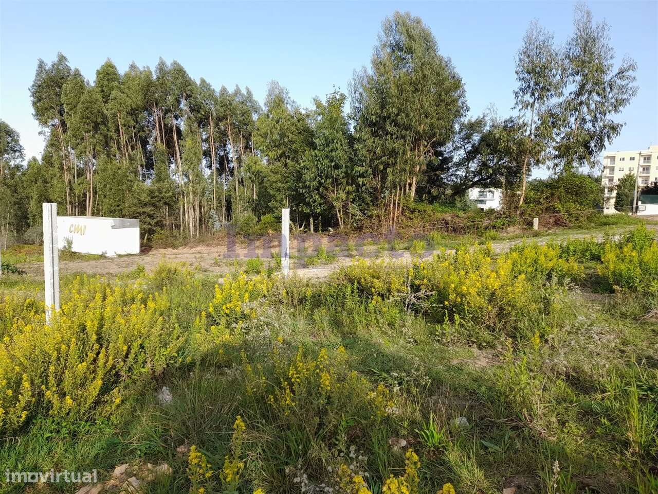 Terreno, Aveiro, Santa Maria da Feira - Grande imagem: 4/5