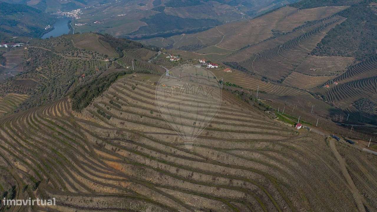 Quinta  para venda - Grande imagem: 5/15