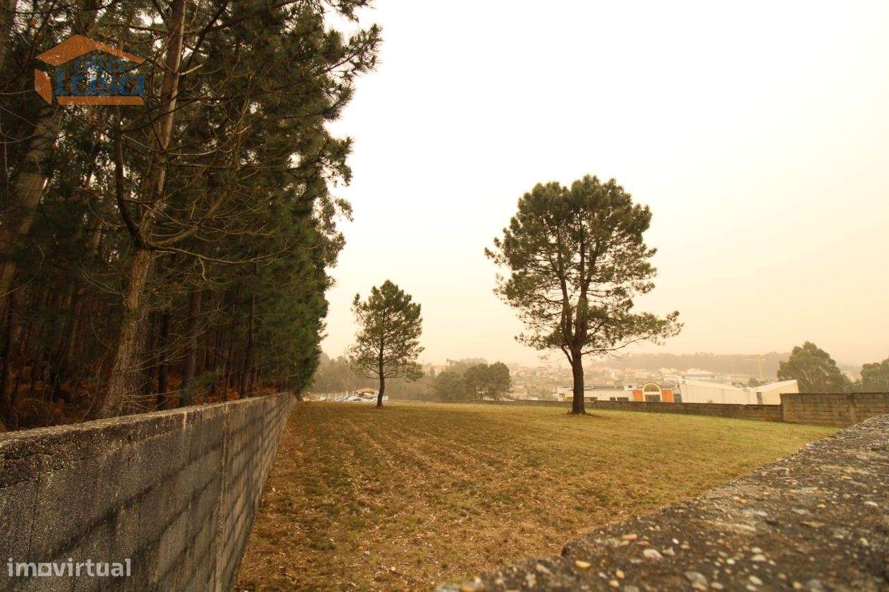 Terreno Olival com 11280 m2 Face a En 222 com 124 metros de Frente - Grande imagem: 4/27