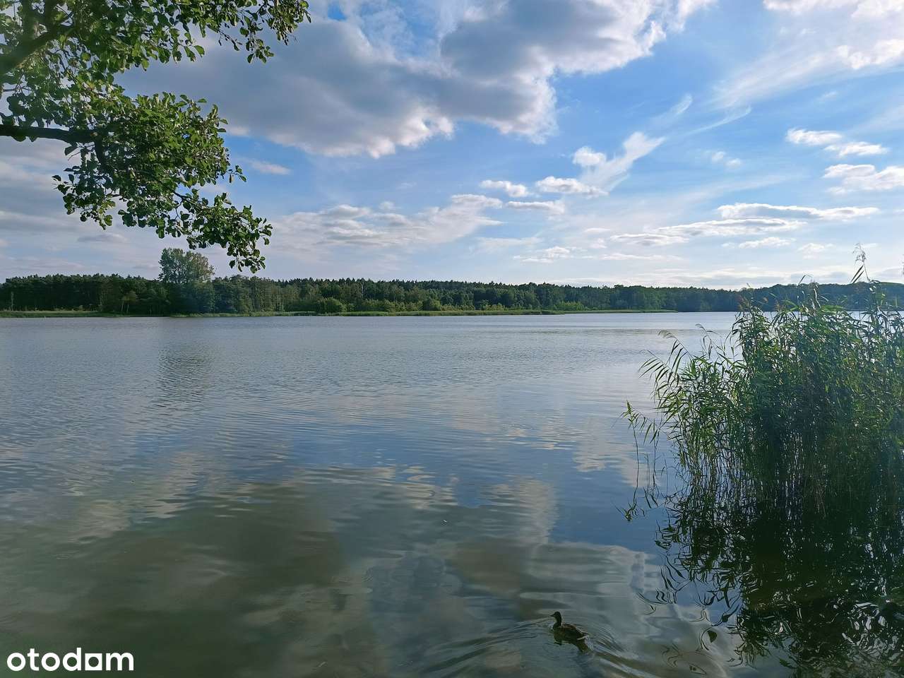 Lusówko - okolice planowanego zbiornika retencyjnego.-3
