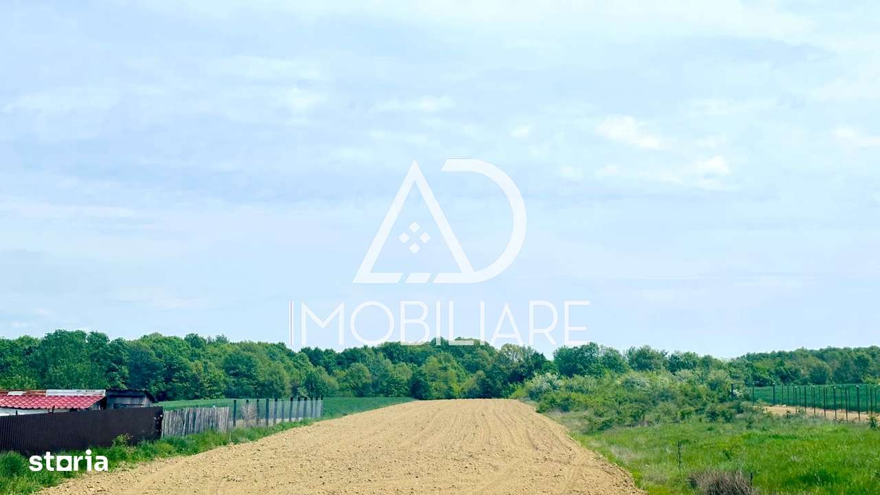 Teren de vânzare intravilan Dănești, Sasa / 8 km de Târgu-jiu - Imagine principală: 5/11