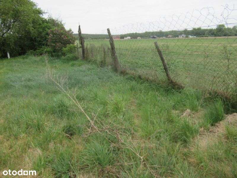Budynek użytkowy z działką o pow. 1353 m2-6