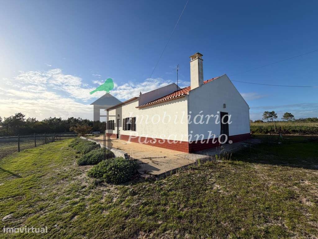 Herdade c/ habitação T2+2 - Aljezur-0