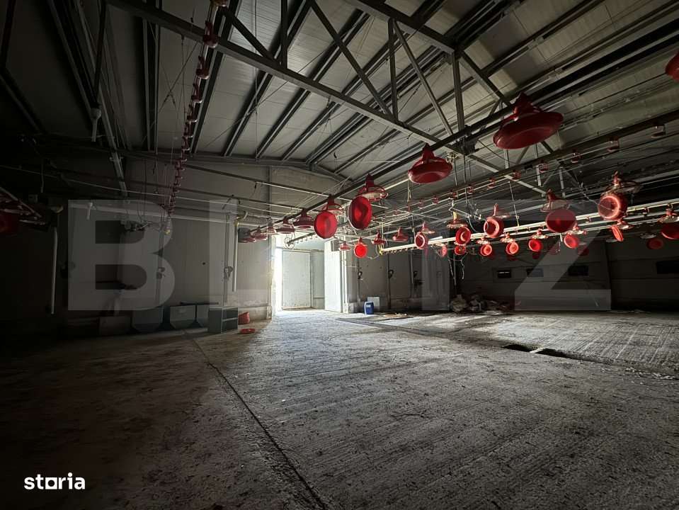 Spatiu industrial, 28.100mp, zona Bucovat - Imagine principală: 4/19