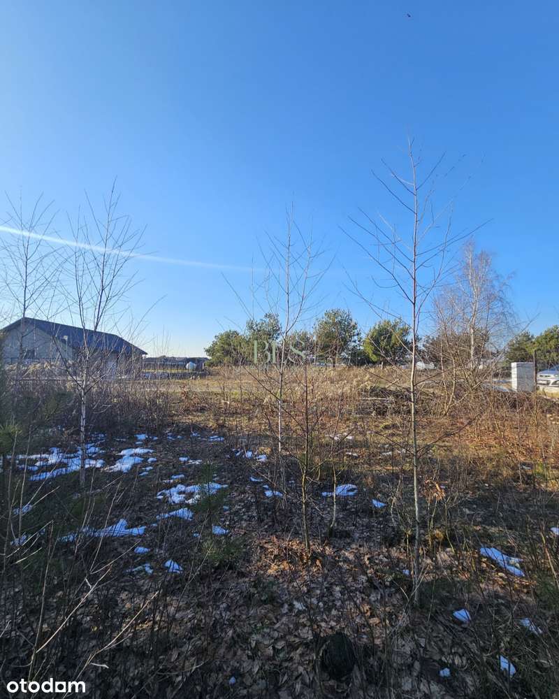 skrzynka energetyczna przy działce-1