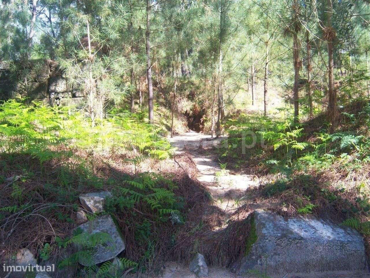 Terreno com ruina / Marco de Canaveses, Sande e São Lourenço - Grande imagem: 4/4