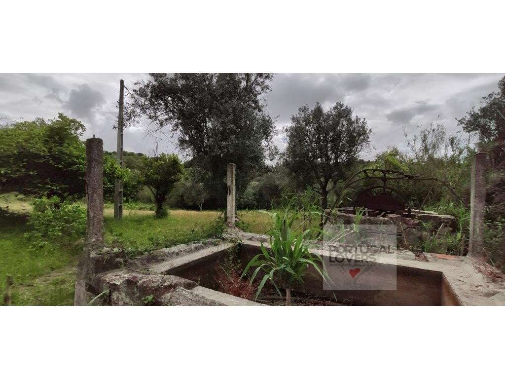 Quinta com várias construções terreno 2874 m2 Galveias (Ponte de Sor)-19