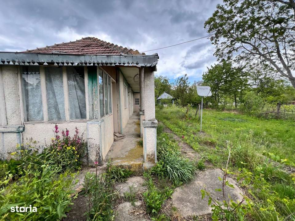 Casa + teren 4430 mp, vie si pomi fructiferi, 22 km de Tecuci-18