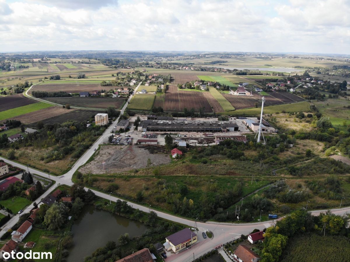 Hala/Magazyn, 14 533,90 m², Odonów