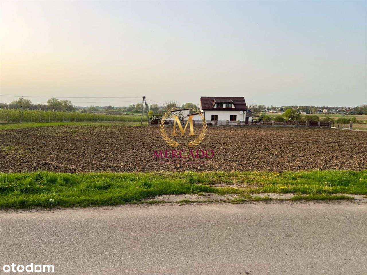 Działka 3000m2 w Borzymiu Tylko dla Rolnika! - Pełny obrazek: 2/6