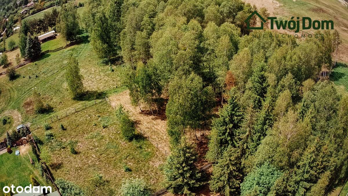 Nieruchomość gruntowa w Szczechach Małych - Pełny obrazek: 2/6