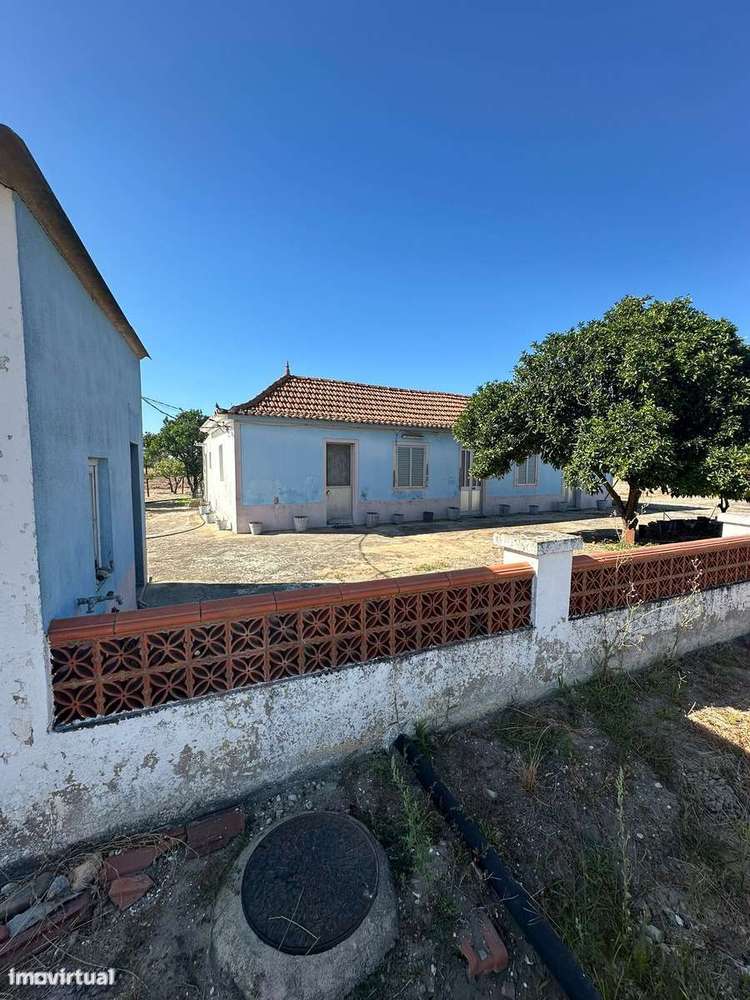 Quintinha com Moradia T2 em Foros Salvaterra - Grande imagem: 1/22