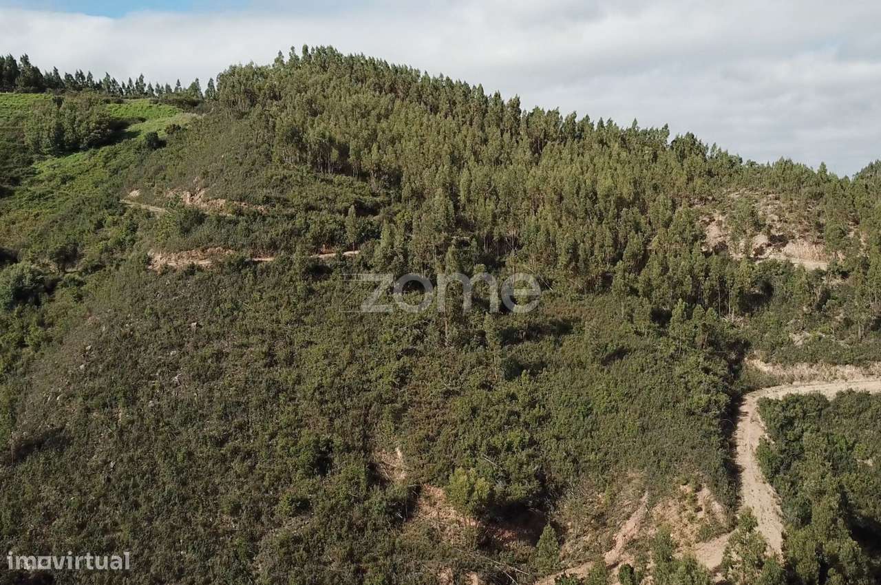 Terreno rústico em Alferce, Monchique - Grande imagem: 4/15