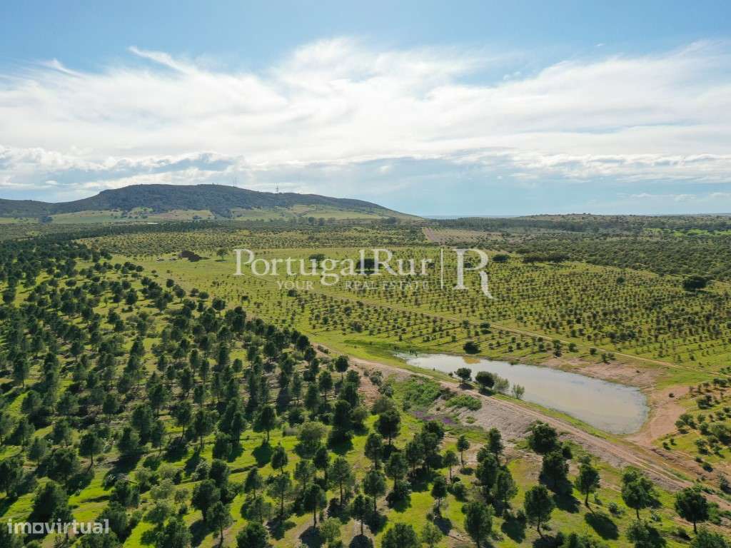 Herdades de Caça com 1300 Hectares, junto do rio Guadiana-38