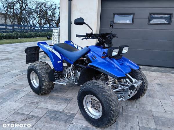 Yamaha Warrior - 21