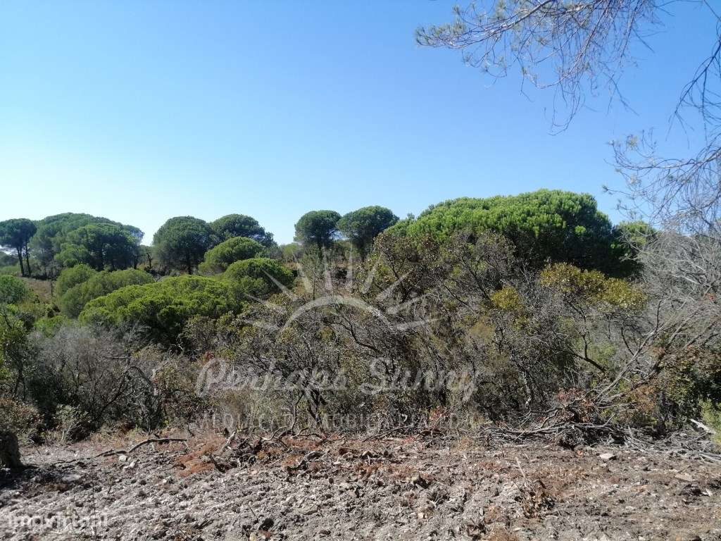 Terreno Rústico - Melides - Vista Mar - Grande imagem: 3/25