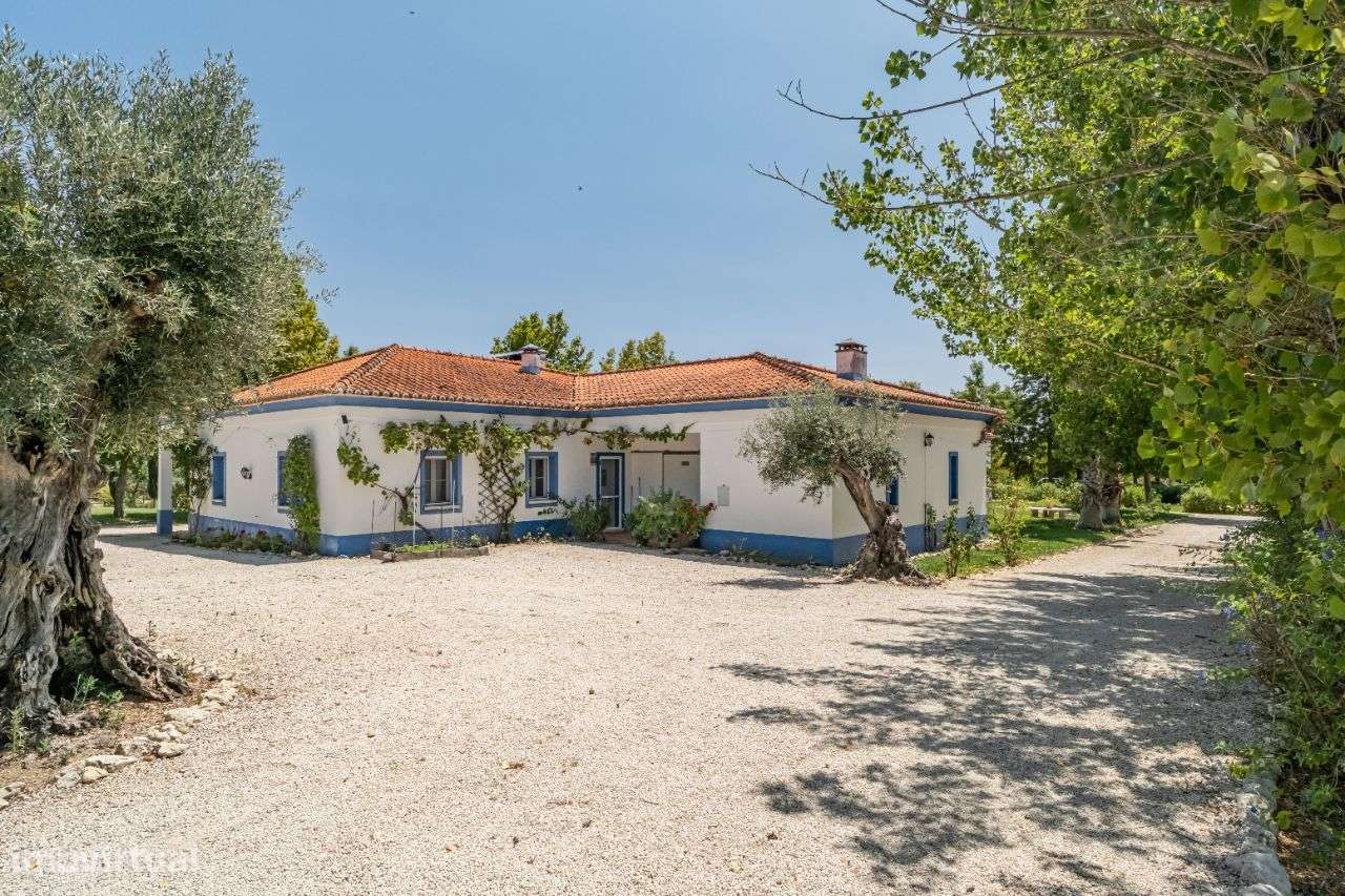 Quinta | Venda | ALENTEJO-40