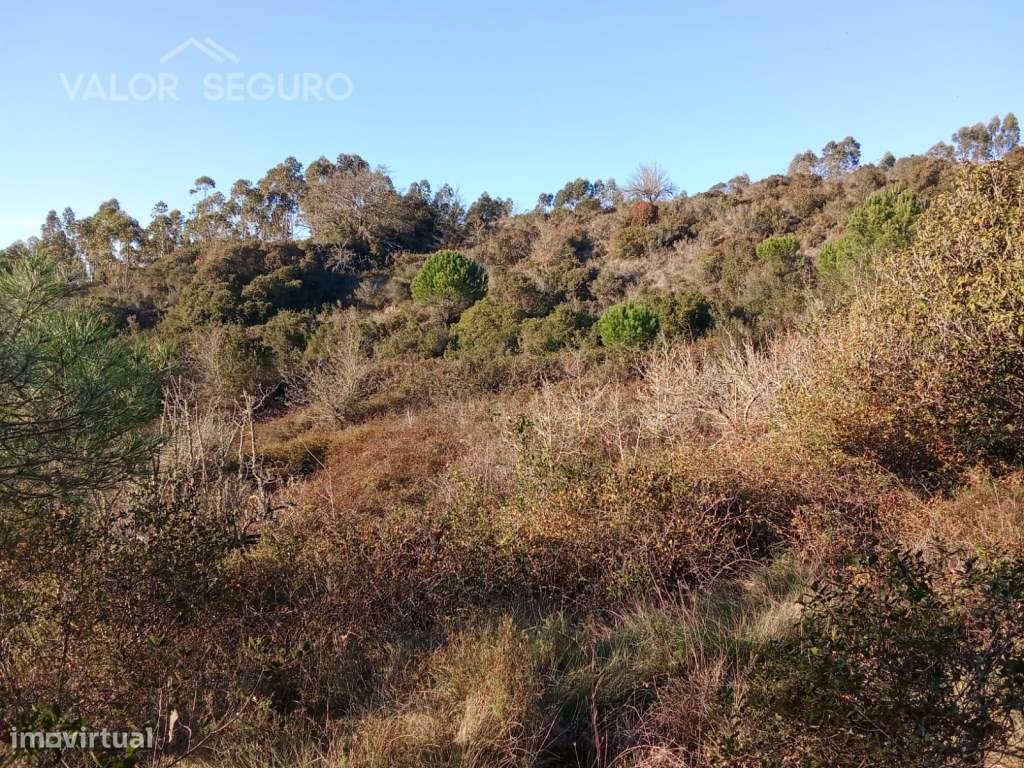 Terreno rústico em Vale Serrão, Pereiro de Palhacana, Alenquer-30