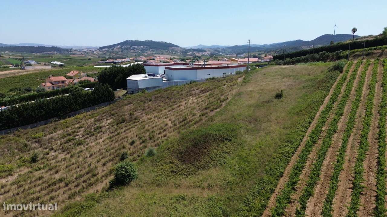 Terreno Rústico com Potencial Industrial – Freiria, Torres Vedras - Grande imagem: 4/18