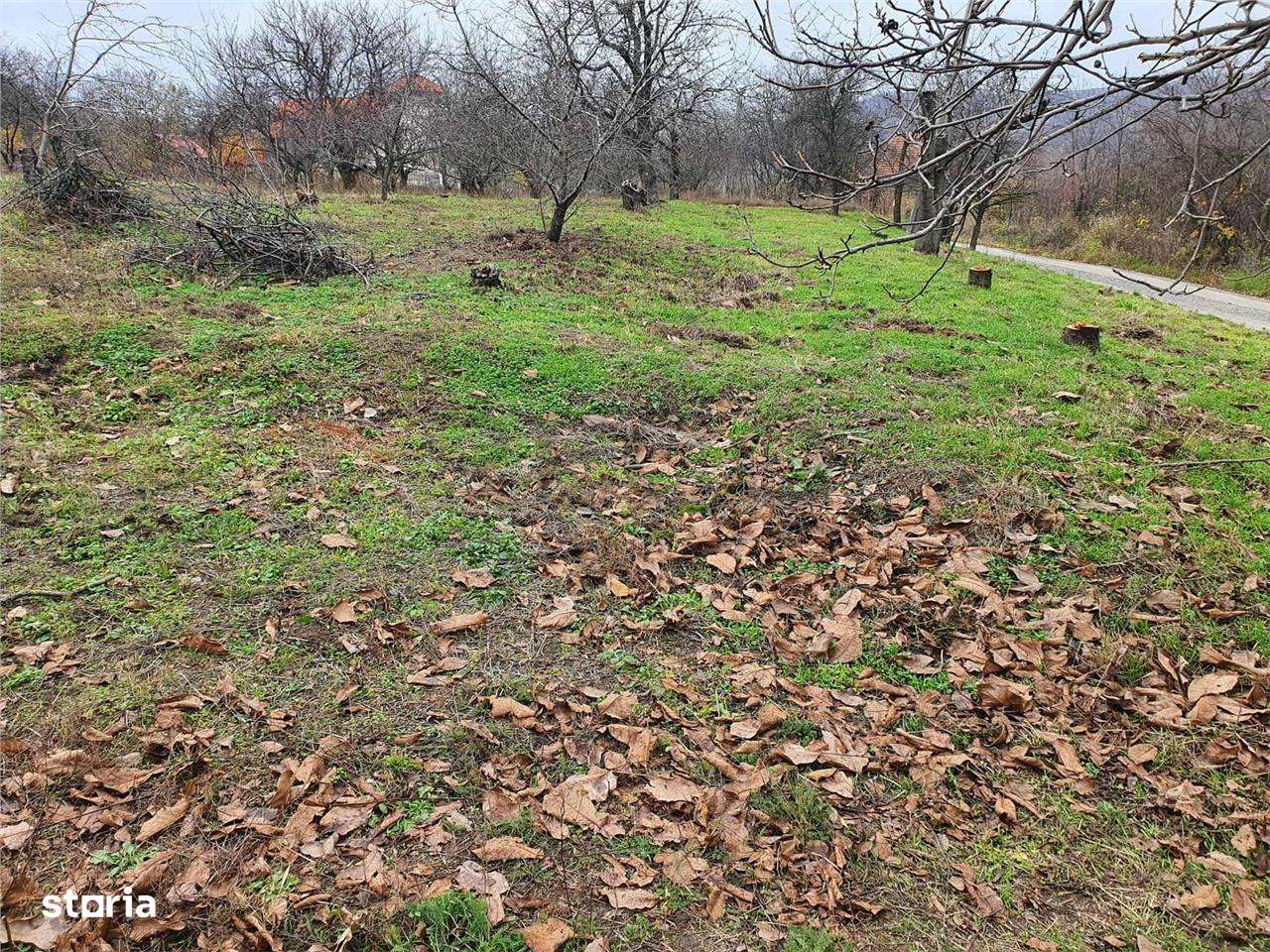 RECO Teren  in Oradea - Imagine principală: 3/10