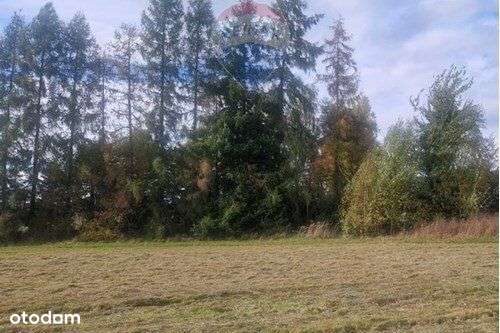 Działka przy głównej drodze. - Pełny obrazek: 4/4