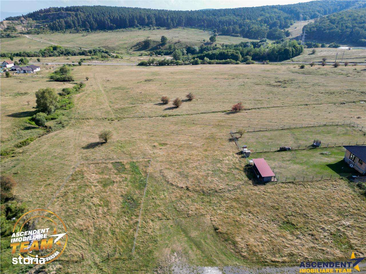 Teren intravilan cu PUZ, 500 mp, zona Belvedere, Sfantu Gheorghe - Imagine principală: 4/8