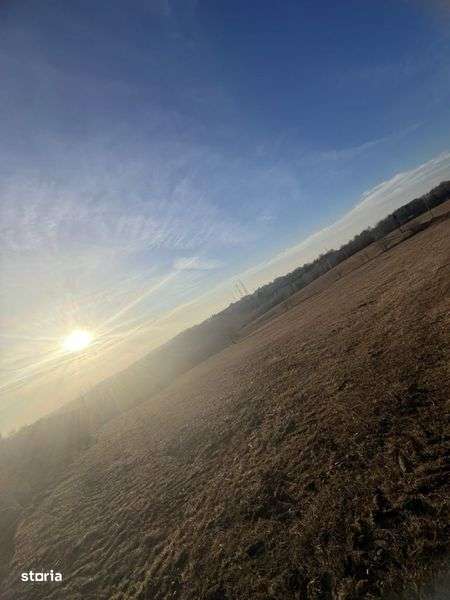 Teren de vanzaze in Sinteu 24 773 metri patrati - Imagine principală: 4/4