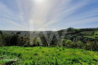 Terreno de 740m2 com Projeto Aprovado para Moradia T4 com piscina em M - Grande imagem: 4/13