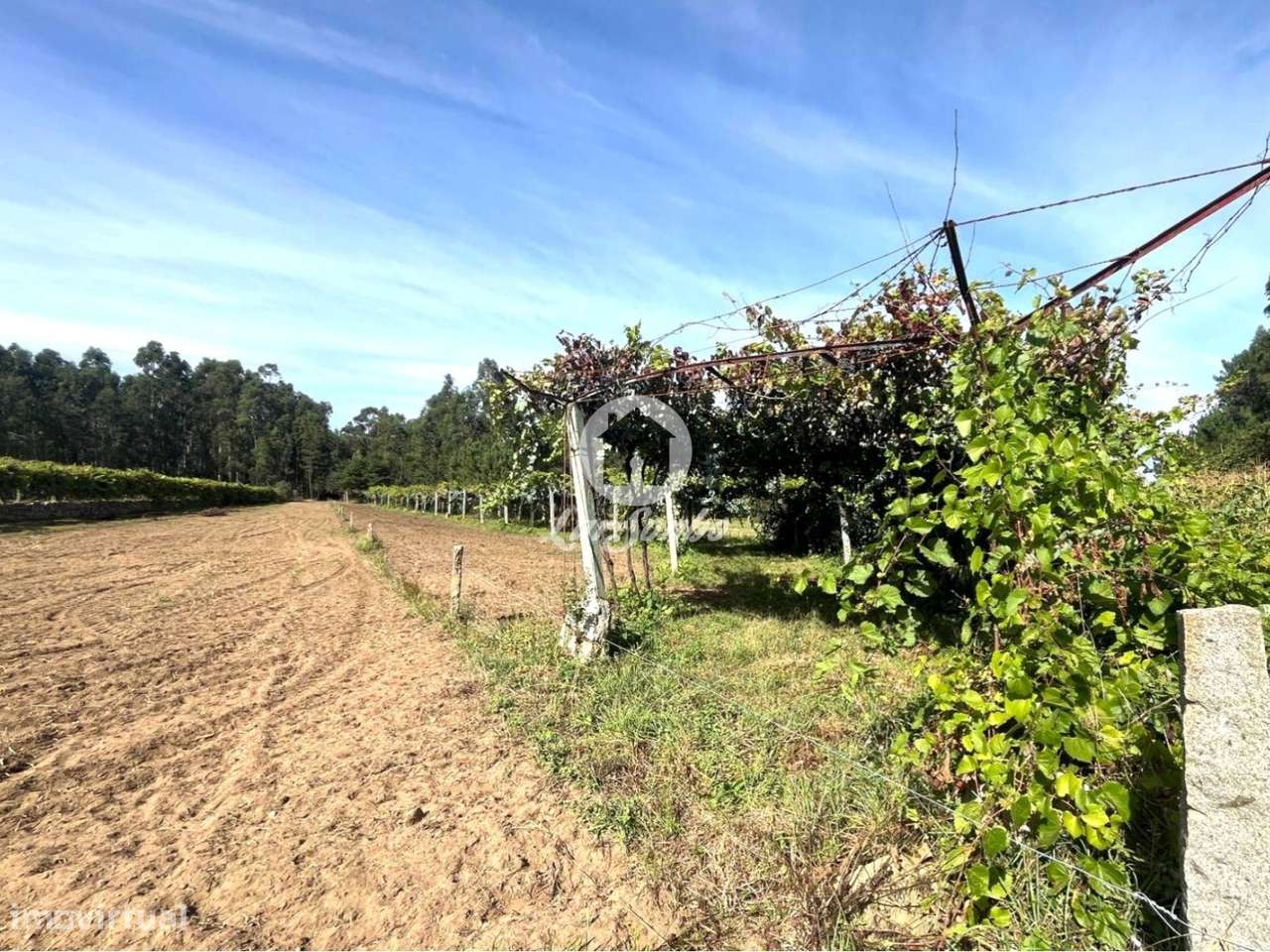Terreno em Barcelos - Grande imagem: 4/22