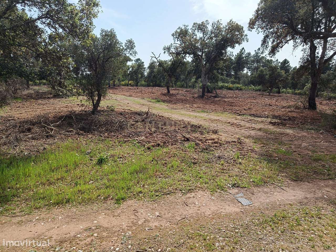 Terreno Rústico com 1.6ha Monfortinho-18