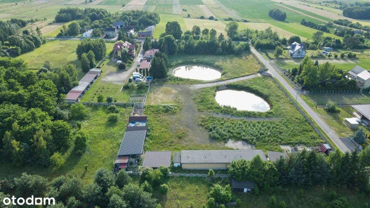 Dom z potencjałem - mieszkanie + biznes - Pełny obrazek: 5/20