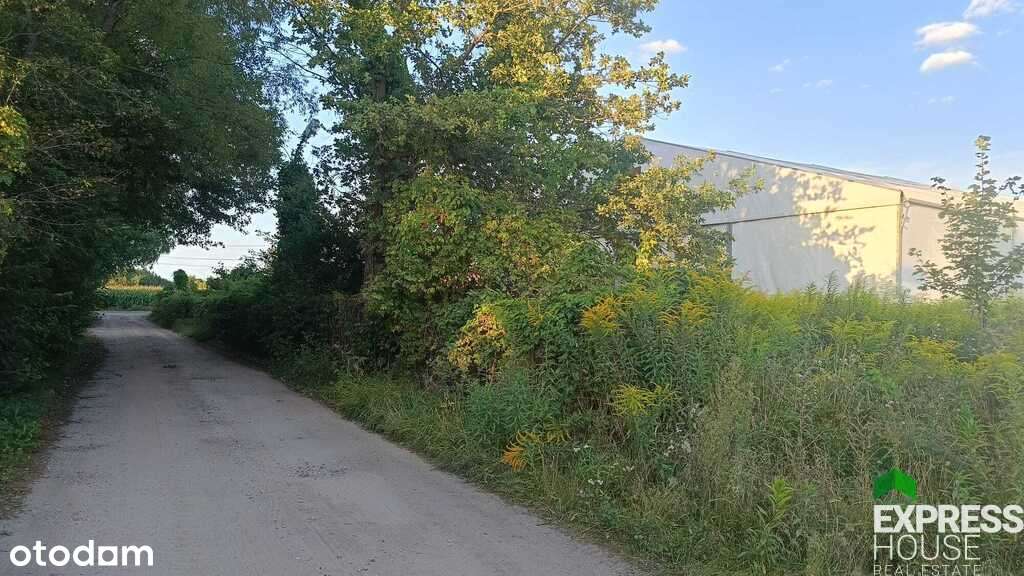 Działka usługowa dla inwestora. - Pełny obrazek: 5/7