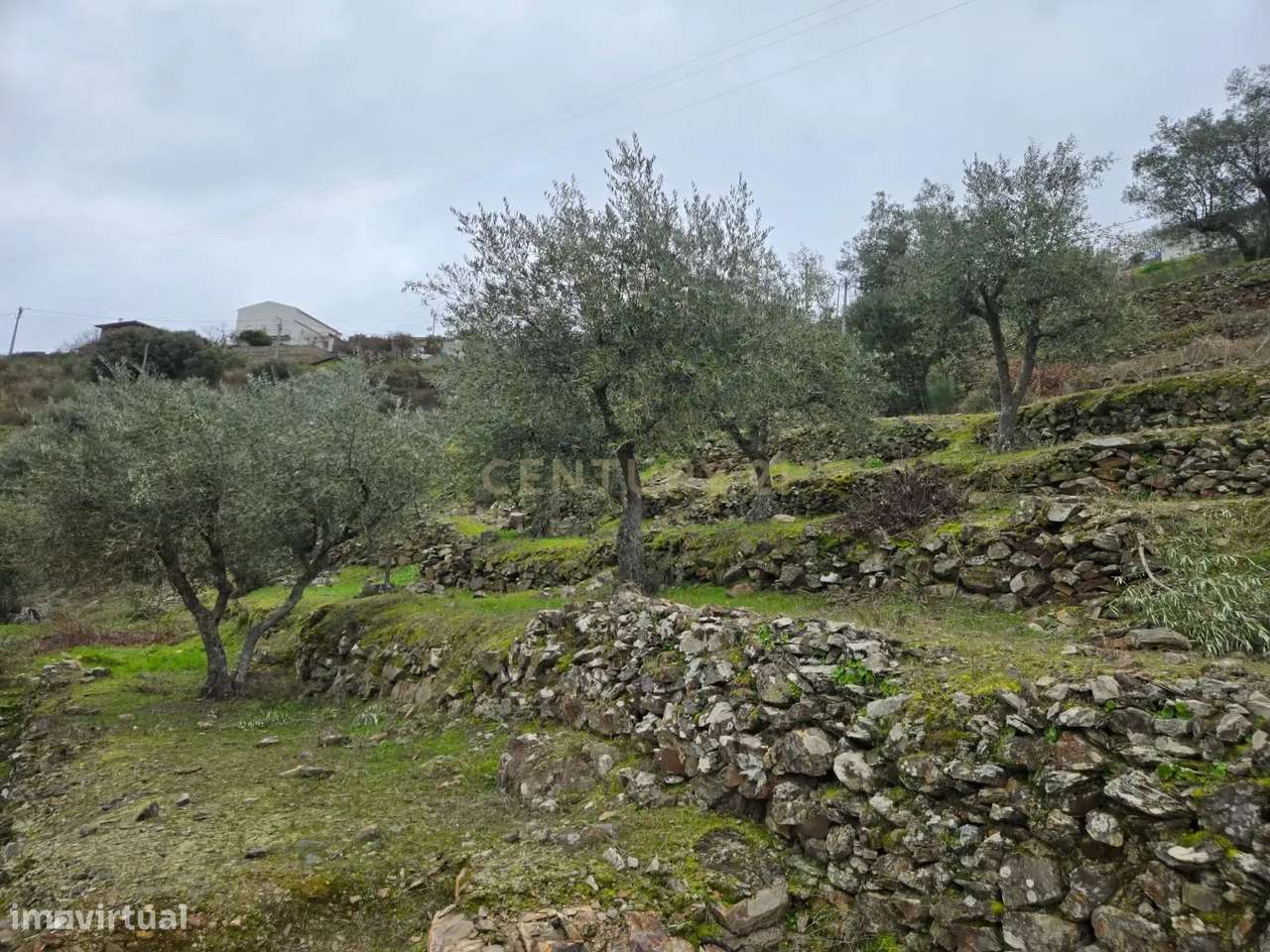 Refúgio Único no Coração do Douro - Grande imagem: 5/6