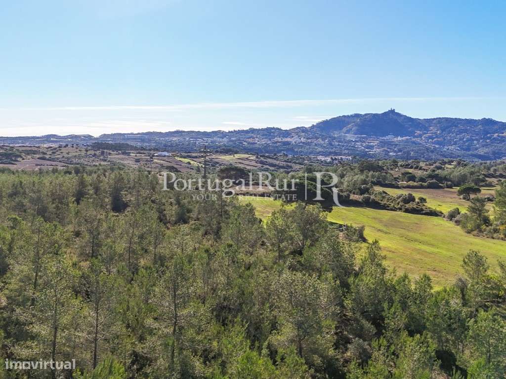 Terreno com 5.500m2 e projecto aprovado para moradia na região de S... - Grande imagem: 4/31