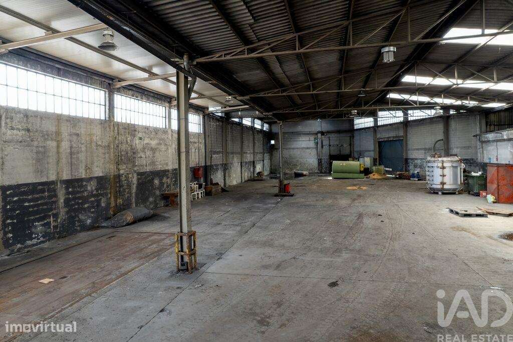 Armazém em Nogueira do Cravo e Pindelo de 1606,00 m2 - Grande imagem: 4/14