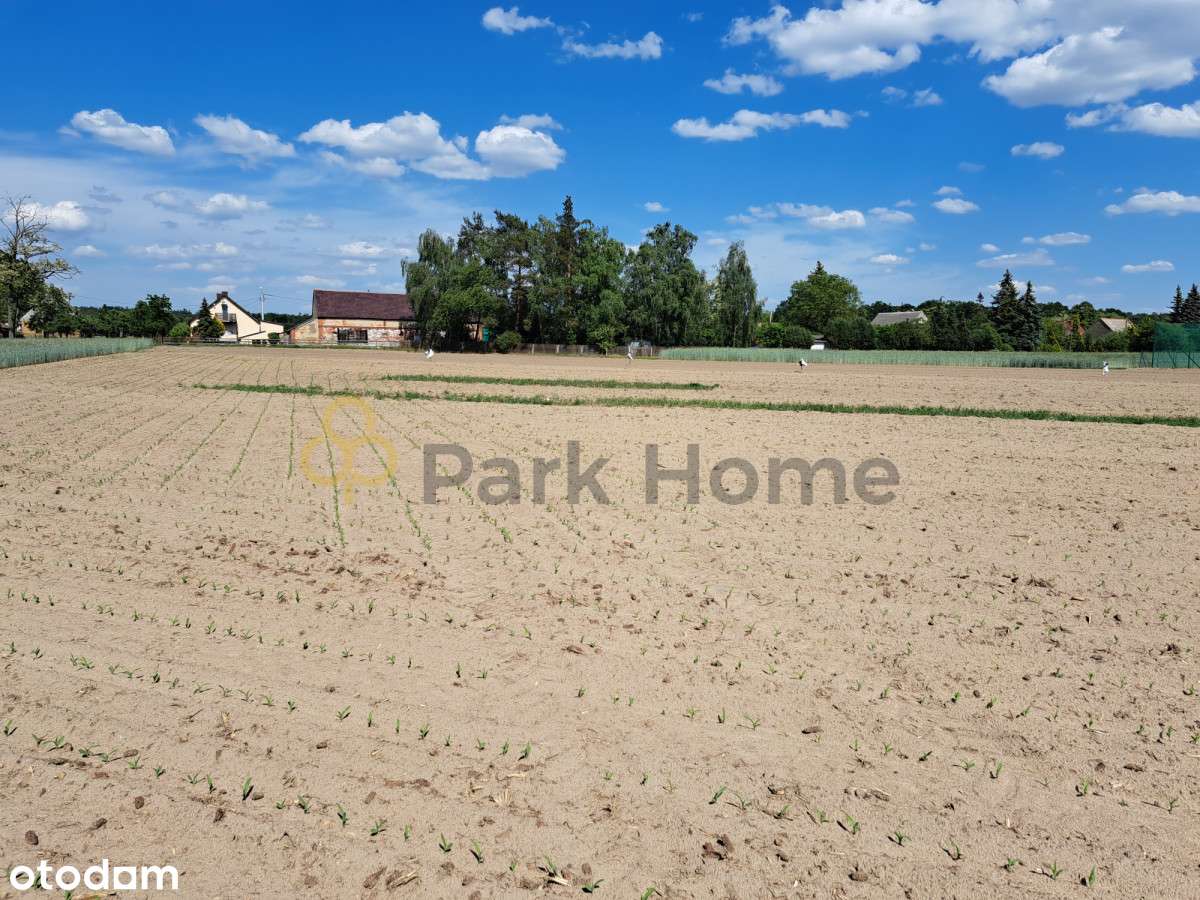 Działka budowlana z widokiem na las - Pełny obrazek: 4/4