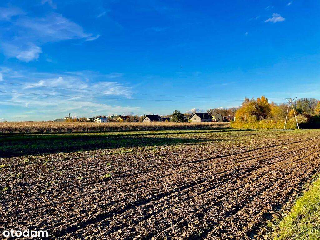 Przestronna,  26 arowa  działka budowlana w Osieku-7