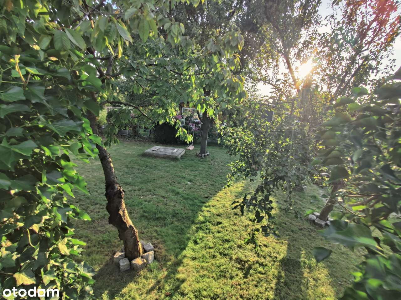 działka ROD „Kwiatkowskiego” w Gdyni – 290 m² z domkiem i nasadzeniami-5