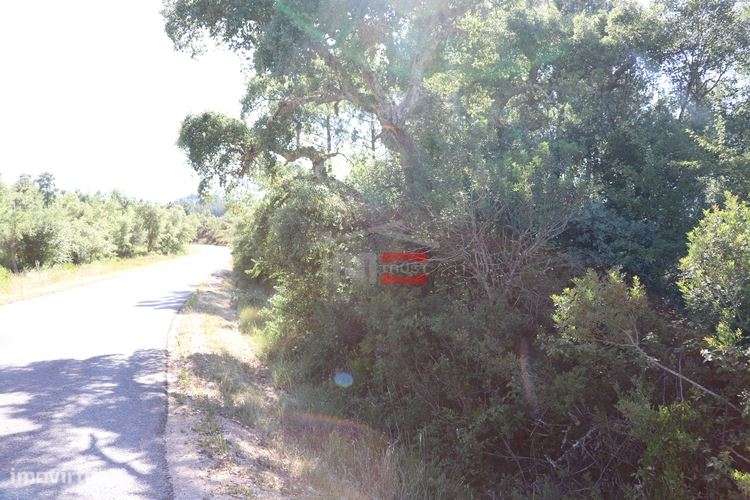 Terreno - Grande imagem: 4/6