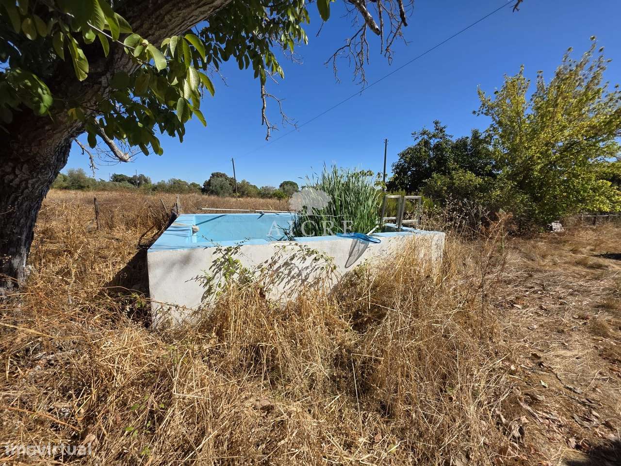 Quinta em Évora - Grande imagem: 2/39