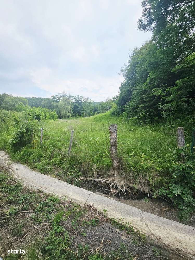 Vanzare teren intravilan, C.U. P+2E, 1659 mp, in Varbilau - Imagine principală: 2/11