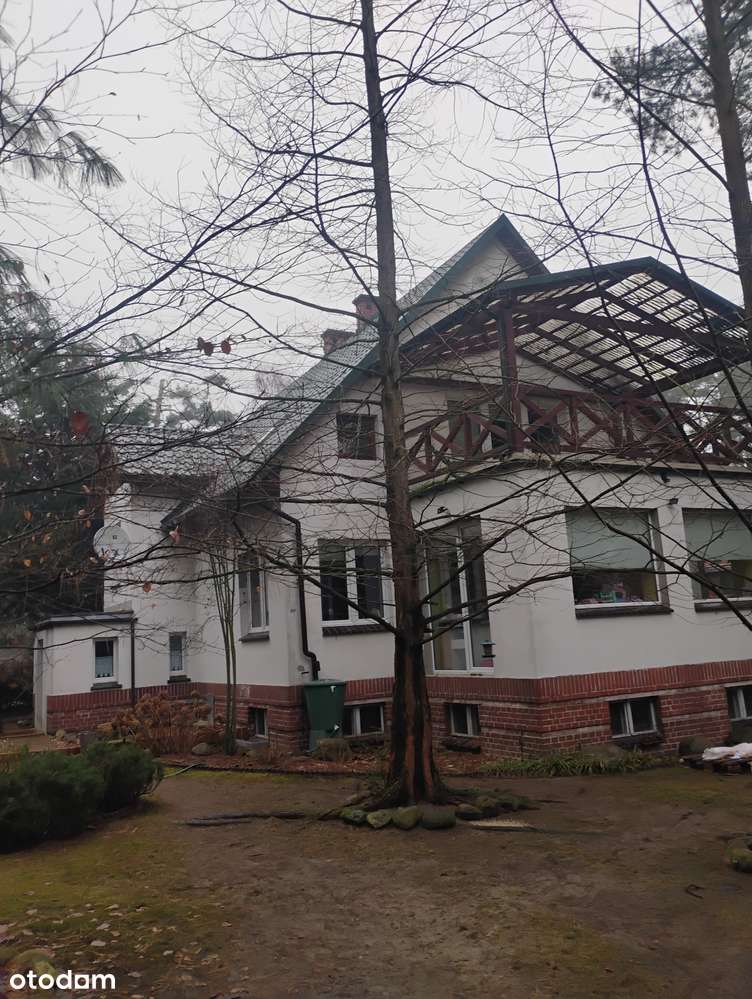 Dom w Osoli - cisza, natura, spokój - Pełny obrazek: 5/14