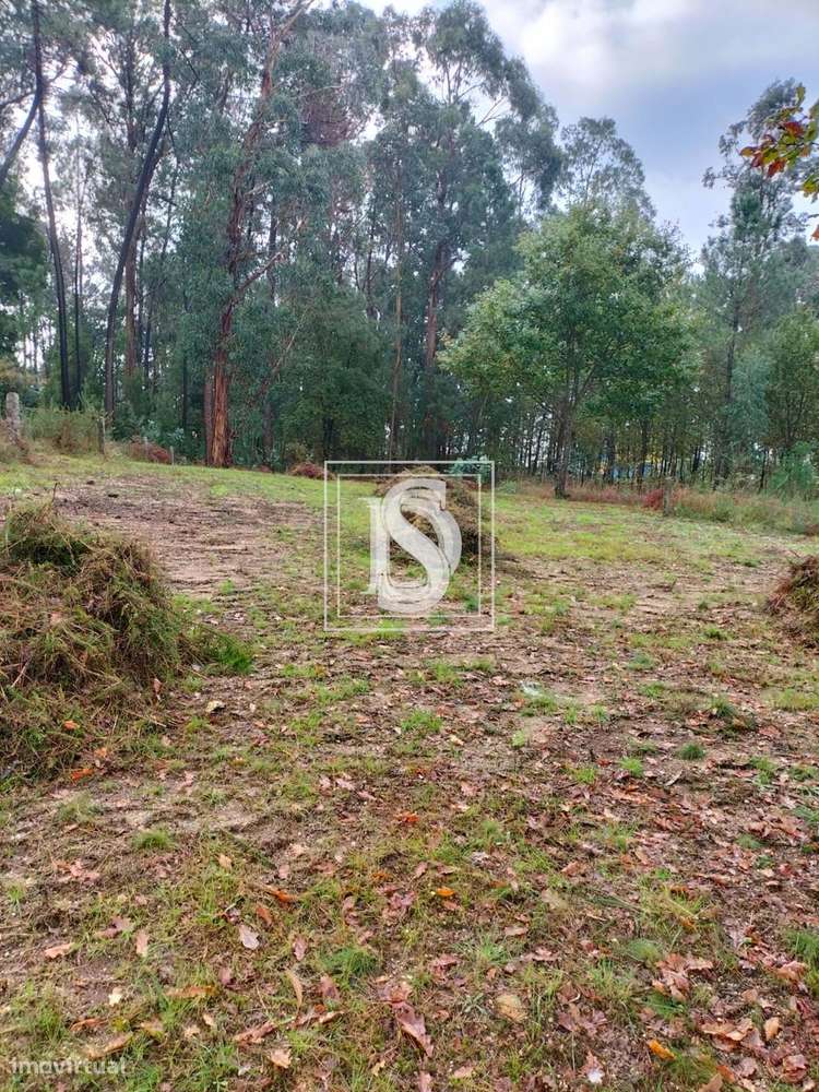 Terreno Não definido em Várzea - Grande imagem: 4/11