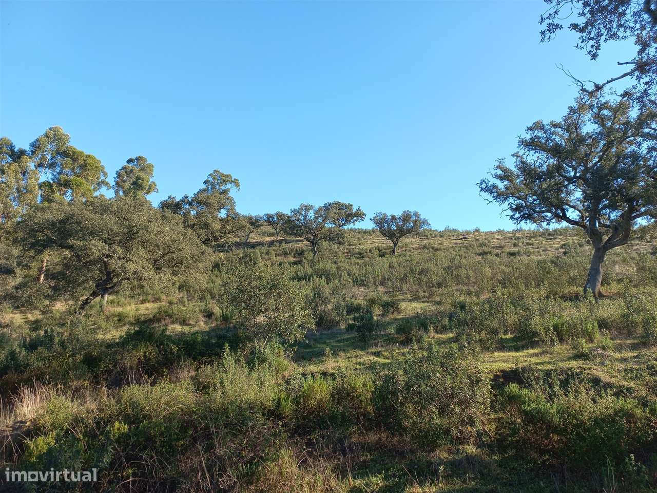 Terreno Rústico  Venda em Santa Clara-a-Nova e Gomes Aires,Almodôvar-6
